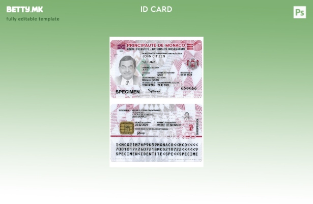 Модерен стил шаблон за дигитална лична карта на Монако